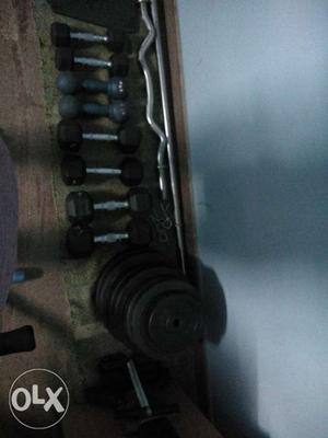 Black Weight Plate And Dumbbell Lot