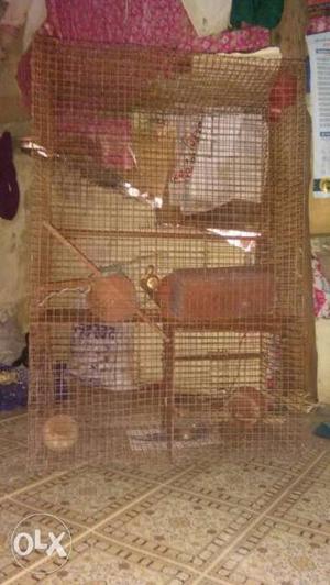 Cage old 1 year sale urgent