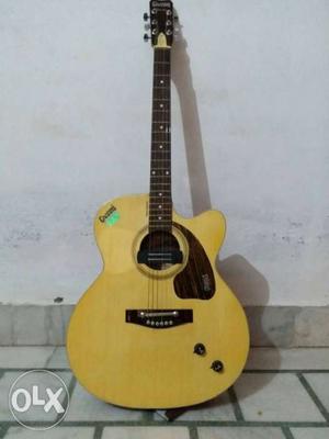 Electronic Guitar only one month used new