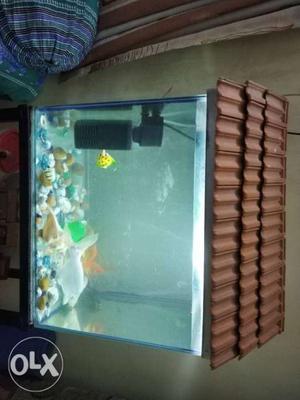 Fish Tank With Brown And Black Frame