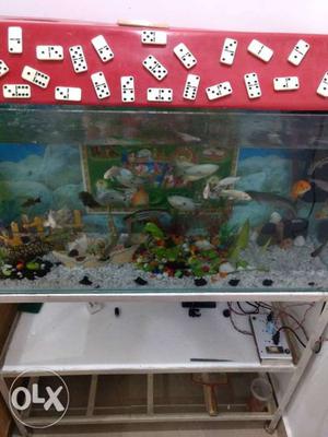 Fish Tank size is 3Ft 18inch