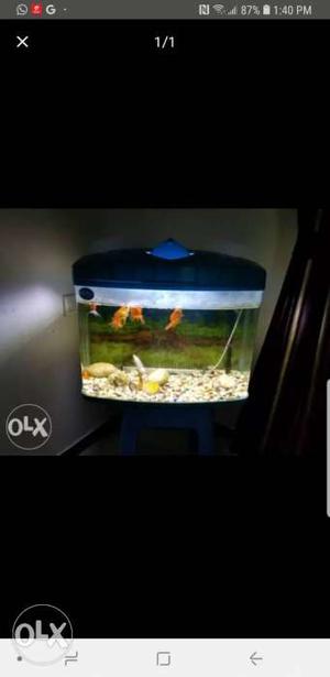 Fish tank RS Electrical