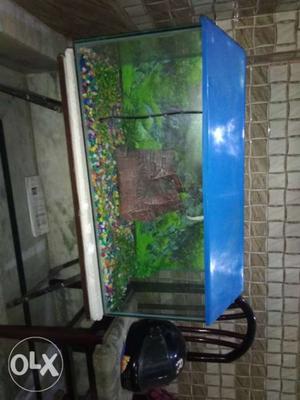 Fish tank free fish food and other items