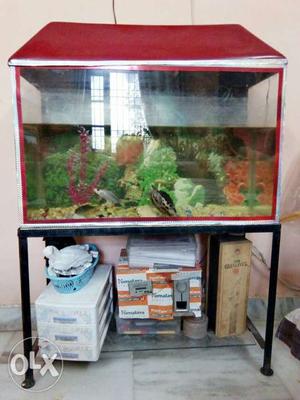 Fish tank in good condition at lowest price