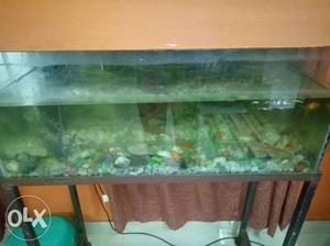 Fish tank with fish metel stand and stone full set