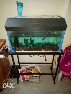Fish tank with stand with fliter and heat light