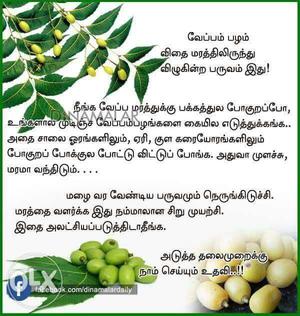 Green Fruits With Text Overlay