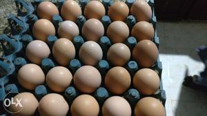 Home grown eggs for sale. 7 rs per egg