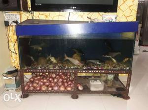 I want 2 sel my fish tank wt all fish nd stone