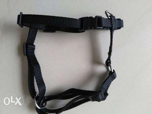 Karlie Dog Harness (Extra Small, Black)