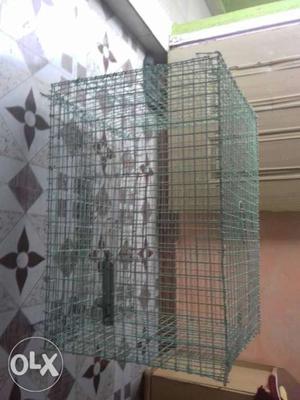 Light green cage for birds