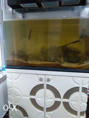 Marine tank with live sand 70kg and live rock