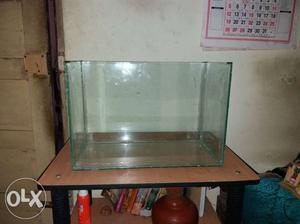 New fish tank " in size