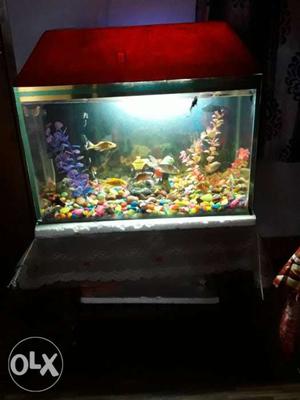 One month old aquarium good condition