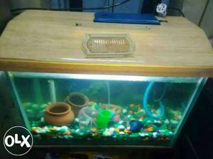 Rectangular Fish Tank With Brown Fram