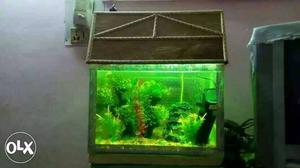 Rectangular Fish Tank With Silver Frame