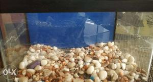 Small Fish Aquarium with Stones for 2 fishes only.