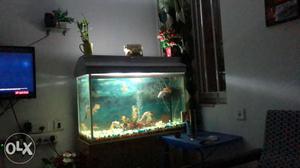 3x3 aquarium with stand and decors