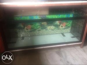 4 feet fish tank for sale L48 H18 W15