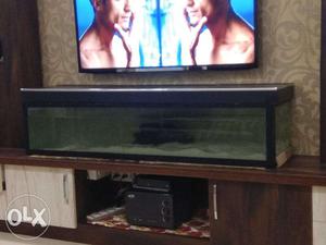 Aquarium Available