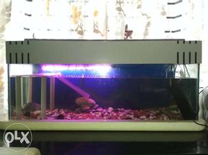 Aquarium fish tank with two way filter, heater