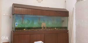 Aquarium for sale with beautiful wooden cover, 8ft x 2 ft