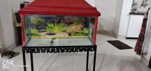 Aquarium for sell...2.5ft...stand