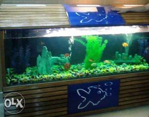 Aquarium in very good condition with storage.