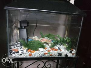 Black Framed Fish Tank