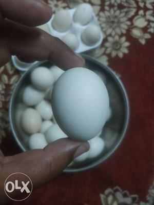 Desi eggs of hens. 20 rs each these eggs have