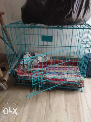 Dog cage for sale only for puppy age 6 months and