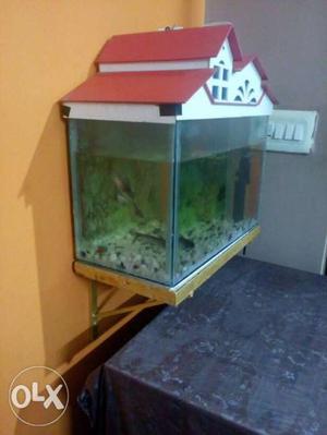 Fish Tank with Motor, Wall Mounted Iron stand and