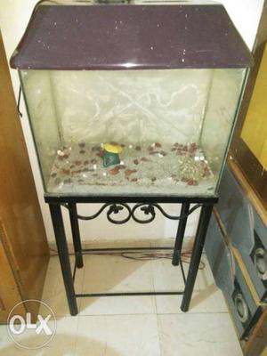 Fish aquarium with standard excellent condition