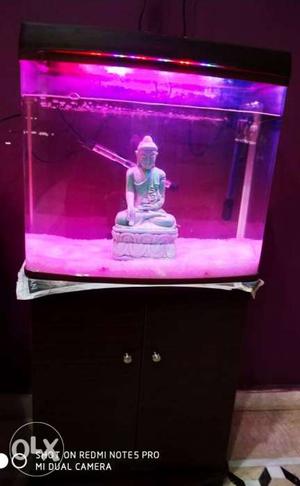Fish tank new imported 3feet with full set up 3months used