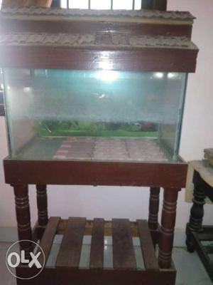 Fish tank with colour stones and stand