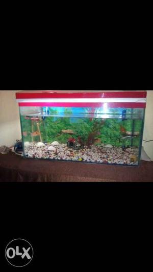 Fish tank with excellent condition...with water