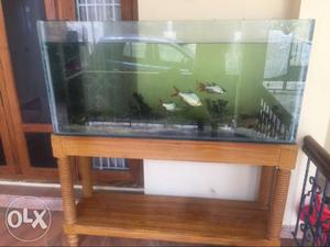 Fish tank with stand & two motors (1 big & 1