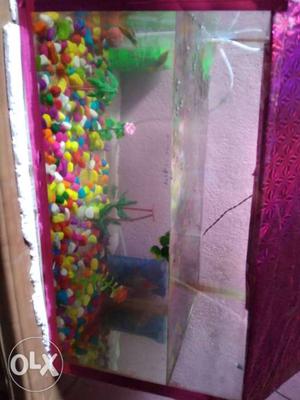 I Want To Sell My New Aquirium One Who Want To
