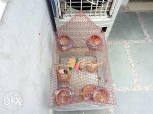 I have 1 big cage for birds only ₹800