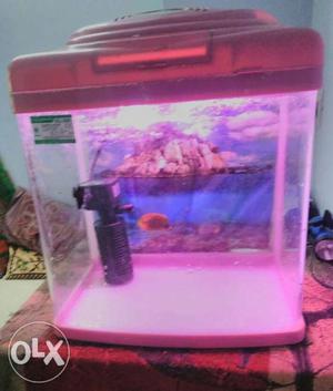 Imported fish tank with new filter and new light