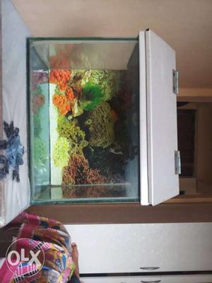 It is a new fish tank hardly used 2 months want