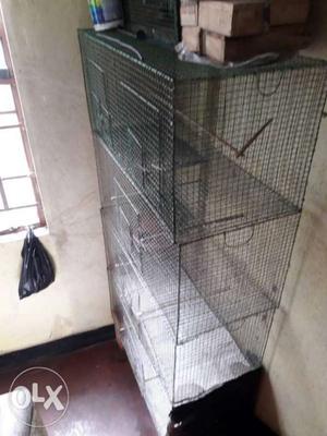 New condisation bird cage fr sell