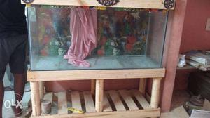 New fish tank 4x2