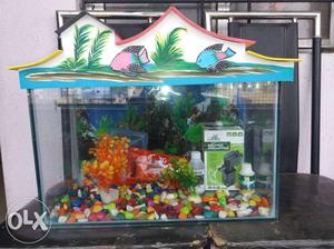 New fish tanks available