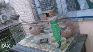 Pets cage 2 feet. with breeding box & feeder