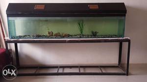Rectangular Black Framed Fish Tank with top