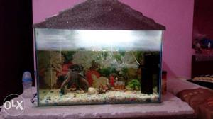 Sale Fish Aquarium tank.