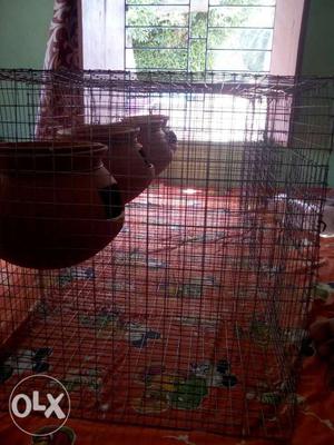 Sell all Bird cage.contact .2