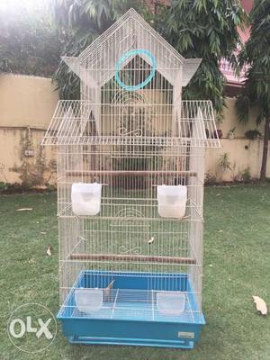 White And Blue cage