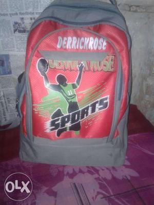 Gray And Red Derrick Rose Backpack